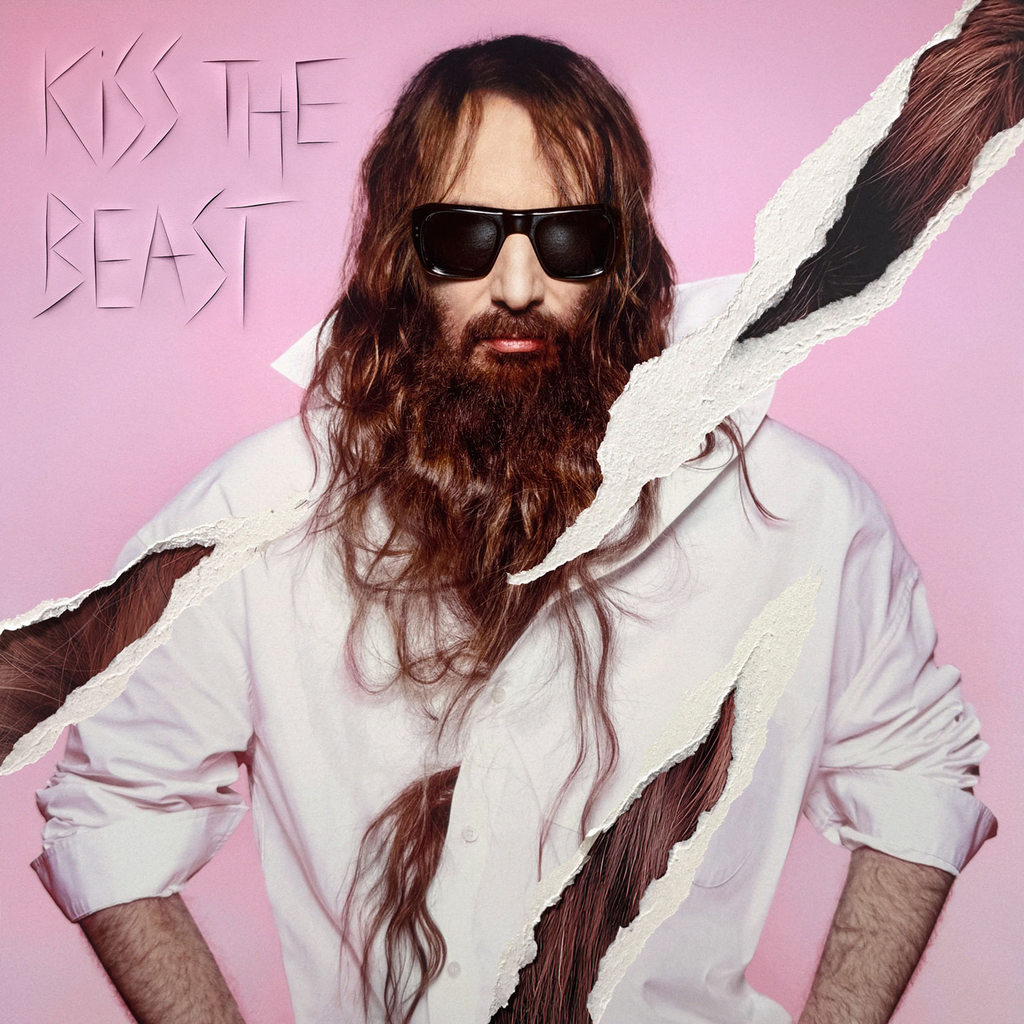 Κολλάζ του άλμπουμ του Sebastien Tellier, ο οποίος εικονίζεται στο κέντρο φορώντας γυαλιά, είνα σε ροζ φόντο το οποίο σκίζεται σε σημεία και φαίνονται κόκκινα μαλλιά. Πάνω δεξιά γράφει 